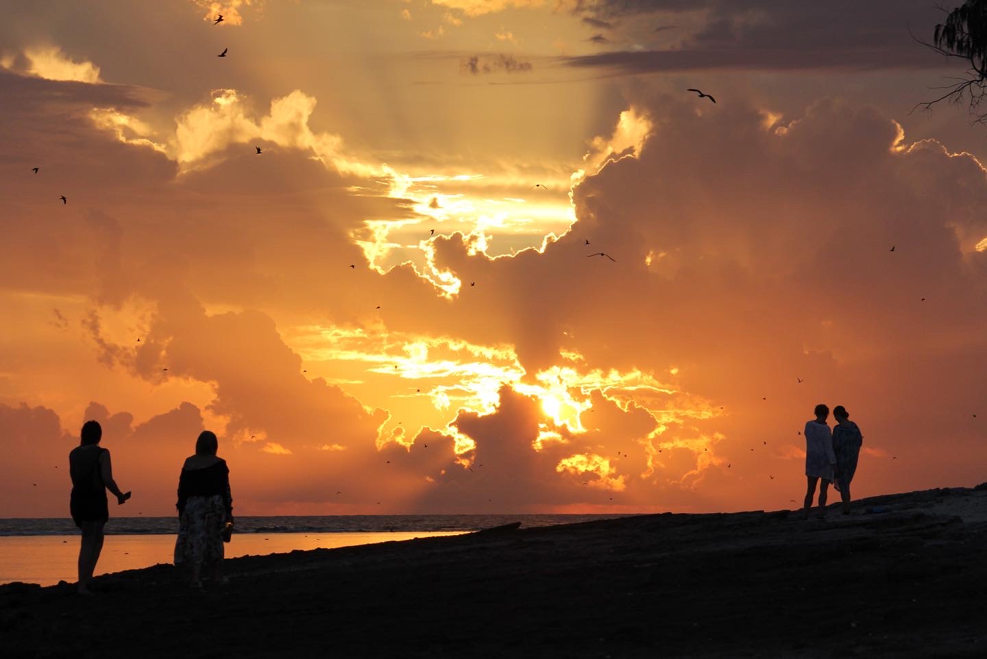 Sunset on Lady Elliot Island